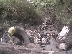 Outlet at 1109 East Lincoln Way - alot of trash and debris along bank just upstream