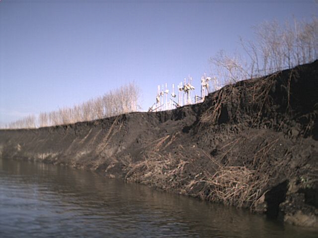 Typical cut bank between Lincoln Way and S. 16th, both sides of river. Crops planted to the river's edge