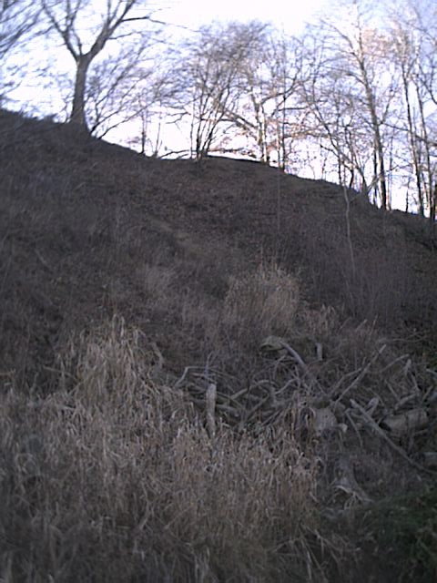 Typical eroding bank at Homewood and Inis Grove