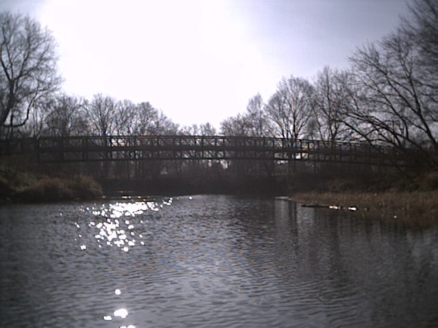 Bridge at Carr Pool