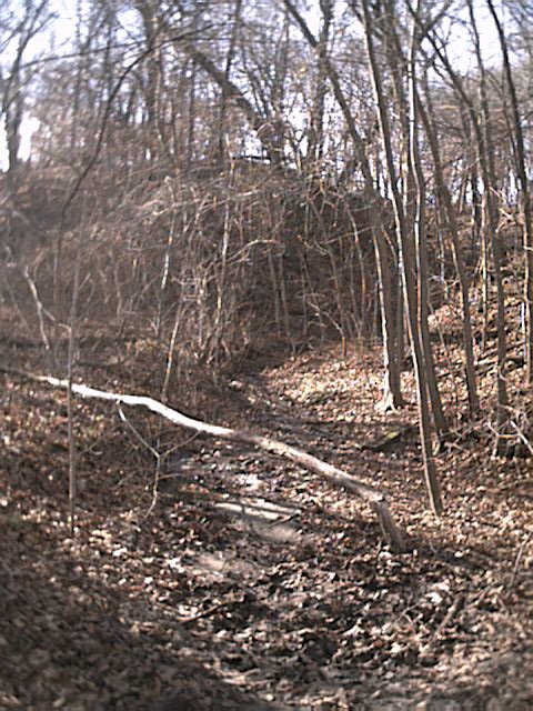 Ravine drains Homewood clubhouse area