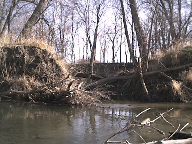 Large creek outflow in area of old sanitary landfill (this is likely the waterway which crosses Dayton just south of 13th)