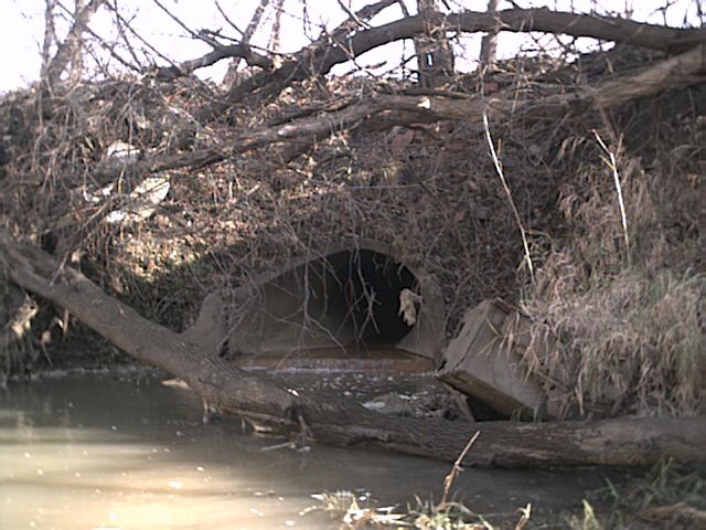 Outlet with rusty-colored effluent/orange slime near stockpile in previous photo. This area (Carnegie Ave) was once the town dump.